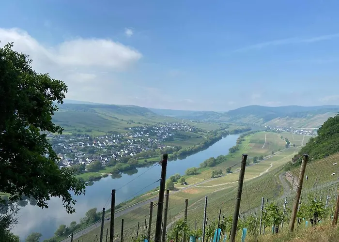 Neu!!! Moselbleibe Winzerhaus Kues *